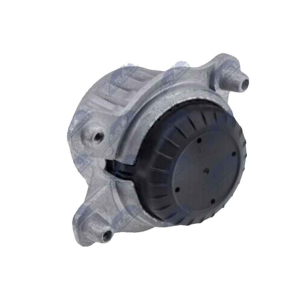 ZPS-ME-025 NTY Engine Mounting for MERCEDES-BENZ