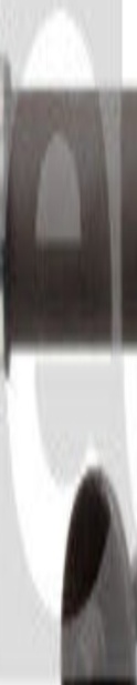 Front Left FERDINAND BILSTEIN 183381 Drive Shaft for LAND ROVER