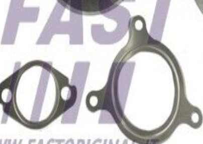 FAST FT60209 EGR Valve for NISSAN,OPEL,RENAULT,VAUXHALL