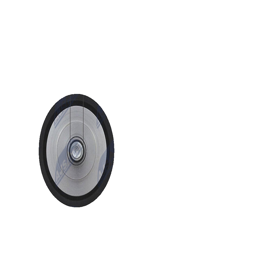 N.T.Y. RNK-AU-039.NTY Deflection/Guide Pulley, V-belt for AUDI,PORSCHE,VW