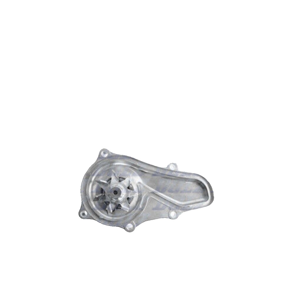 DOLZ H141 Water Pump, inverter