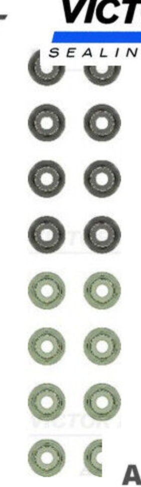 VICTOR REINZ 12-10138-01 Seal Set, valve stem for MAZDA