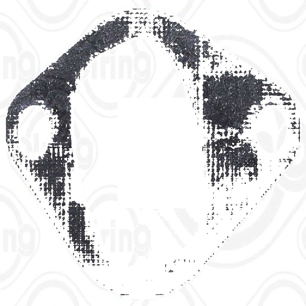 774.660 ELRING GASKET, INTAKE MANIFOLD FOR BMW