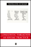 Language Variation as Social Practice – The Linguistic Construction of Identity…