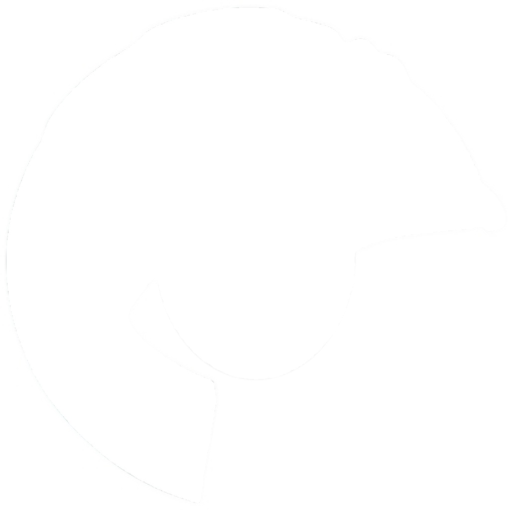 Brake disc cover 11108 A.B.S. for MERCEDES-BENZ E-CLASS E-CLASS T-Model