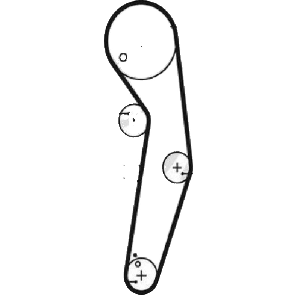 Genuine Gates Timing Belt - 5569XS - Image 8