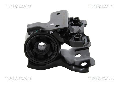 Triscan Supporto, Braccio Oscillante 8500 40812