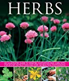 Herbs: An Illustrated Guide to Varieties, Cultivation and Care, with Step-by-step Instructions and Over 160 Beautiful Photographs - Image 6