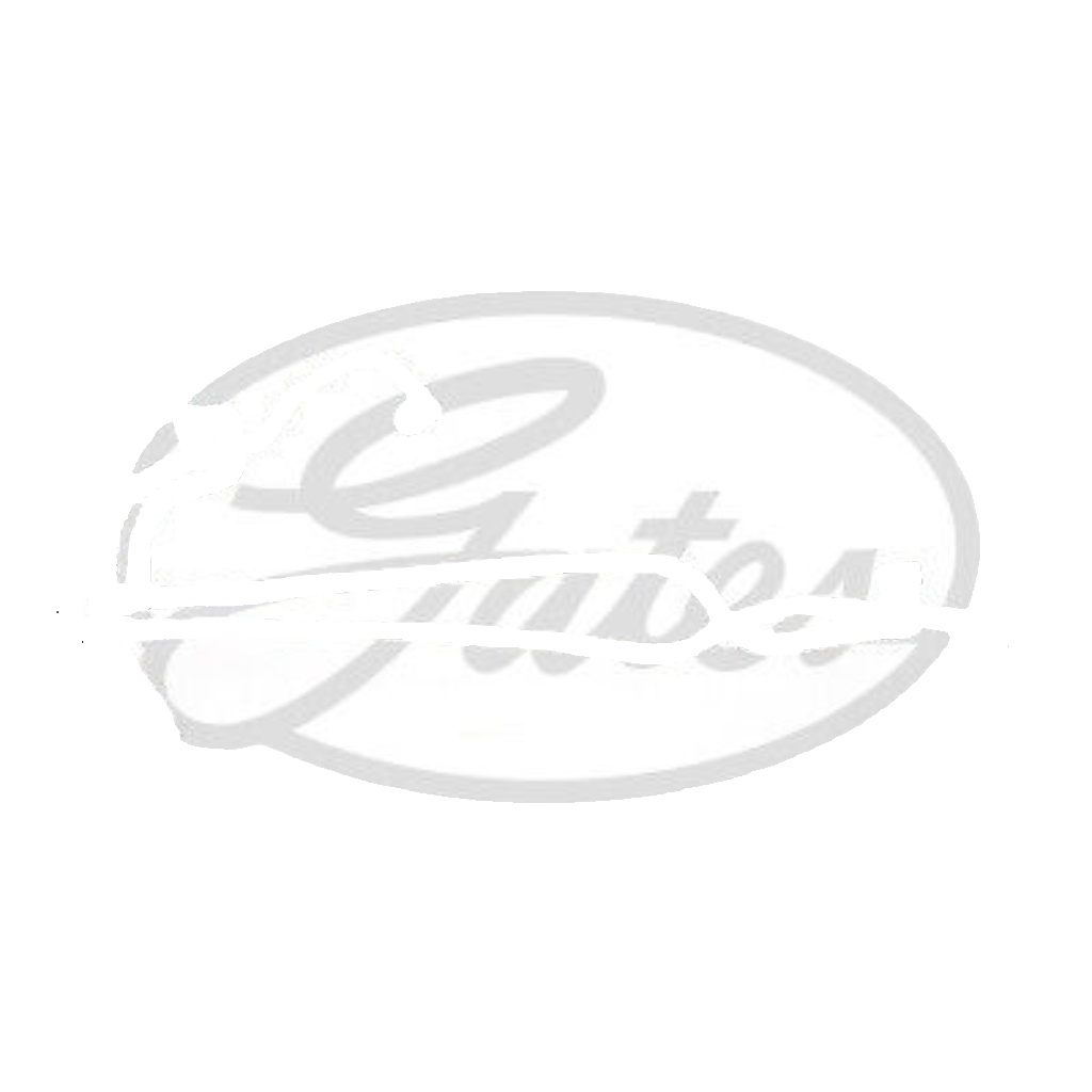 GATES-OE MFL1101 Hose, fuel overflow for FORD - Image 8