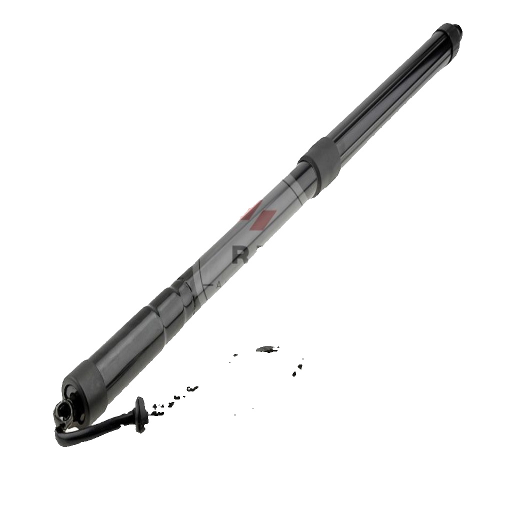 AE-FR-064 NTY Electric Motor, tailgate for FORD