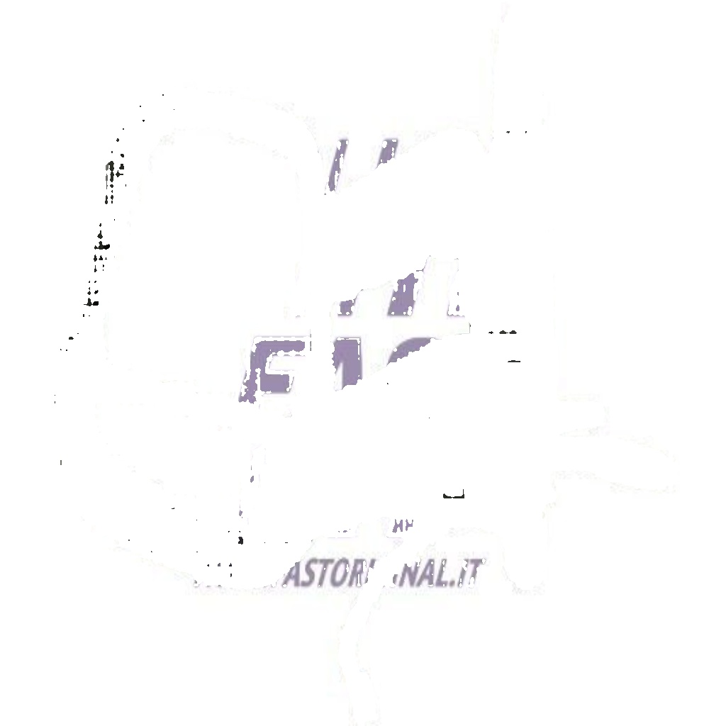FT88270 FAST Outside Mirror for CITROËN,FIAT,PEUGEOT