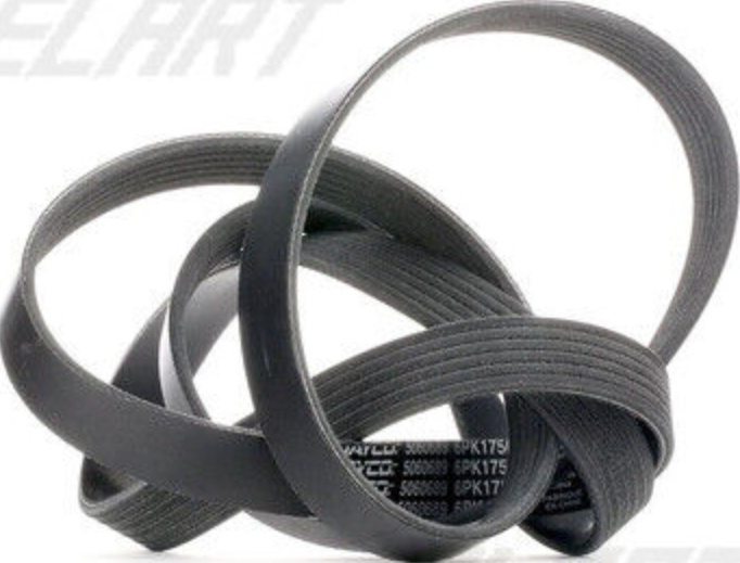 Dayco V-Ribbed Belt 6Pk1750 Rozmiar 6