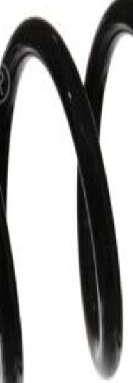 2x ✅Fits FEBI 46918 SUSPENSION SPRING   ⭐UK Seller⭐