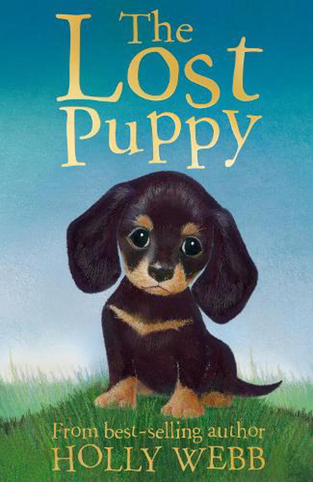 The Lost Puppy: 20 (Holly Webb: Animal Stories) - Image 4