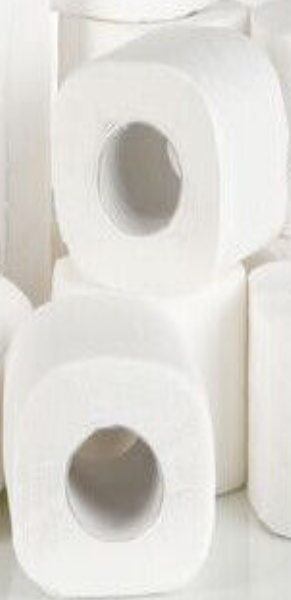 Bliss Soft Embossed Toilet Tissue Paper 80 Rolls Strong Quilted 2PLY 24M HUMAC