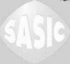 Lower SASIC 3404042 Radiator Hose for RENAULT