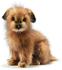 Hansa Large Norfolk Terrier 3996 Soft Toy Sold by Lincrafts UK Est 1993