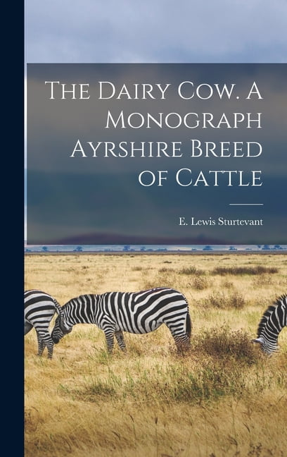 Sturtevant - Dairy Cow. A Monograph Ayrshire Breed of Cattle - New har - X555z