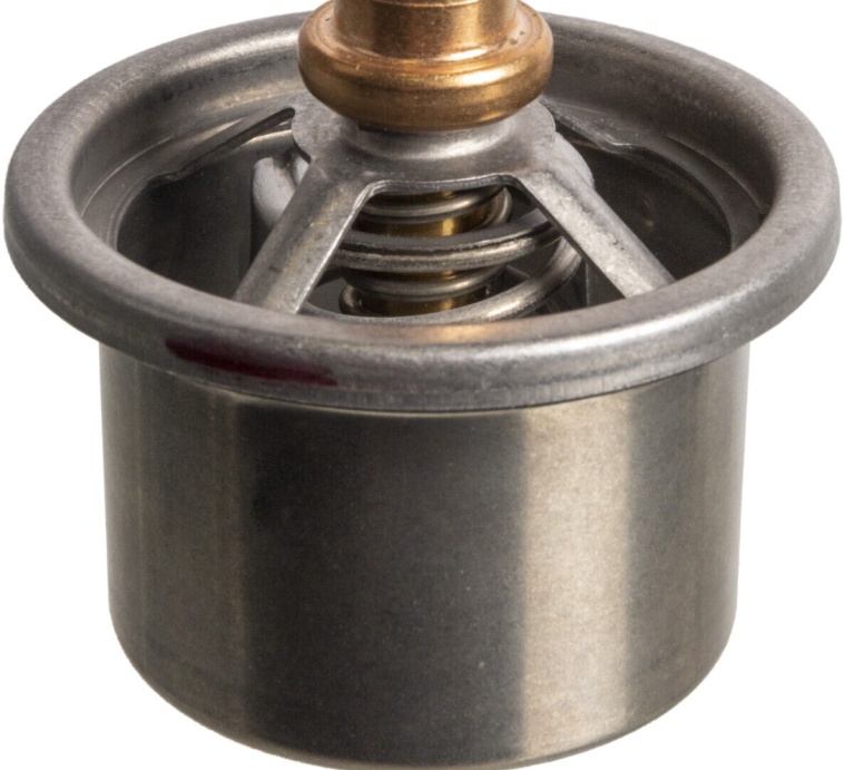 Febi Bilstein Thermostat 171162 - OEM Quality for DAF - Precision Fitment