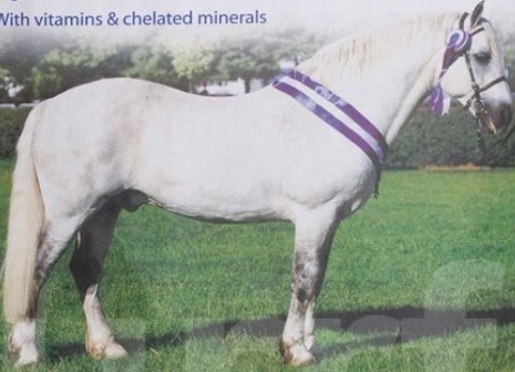 15KG DODSON & HORRELL BARLEY RINGS / MASH HORSE FOOD FEED WITH LINSEED & CALCIUM