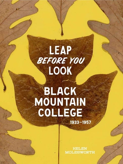 Leap Before You Look by Helen Molesworth, Ruth Erickson - 9780300211917