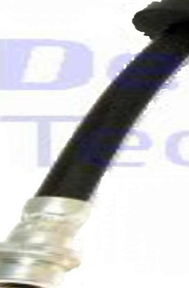 LH6144 DELPHI Brake Hose for FORD
