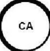 CT1176 CONTINENTAL CTAM Timing Belt for HYUNDAI,KIA