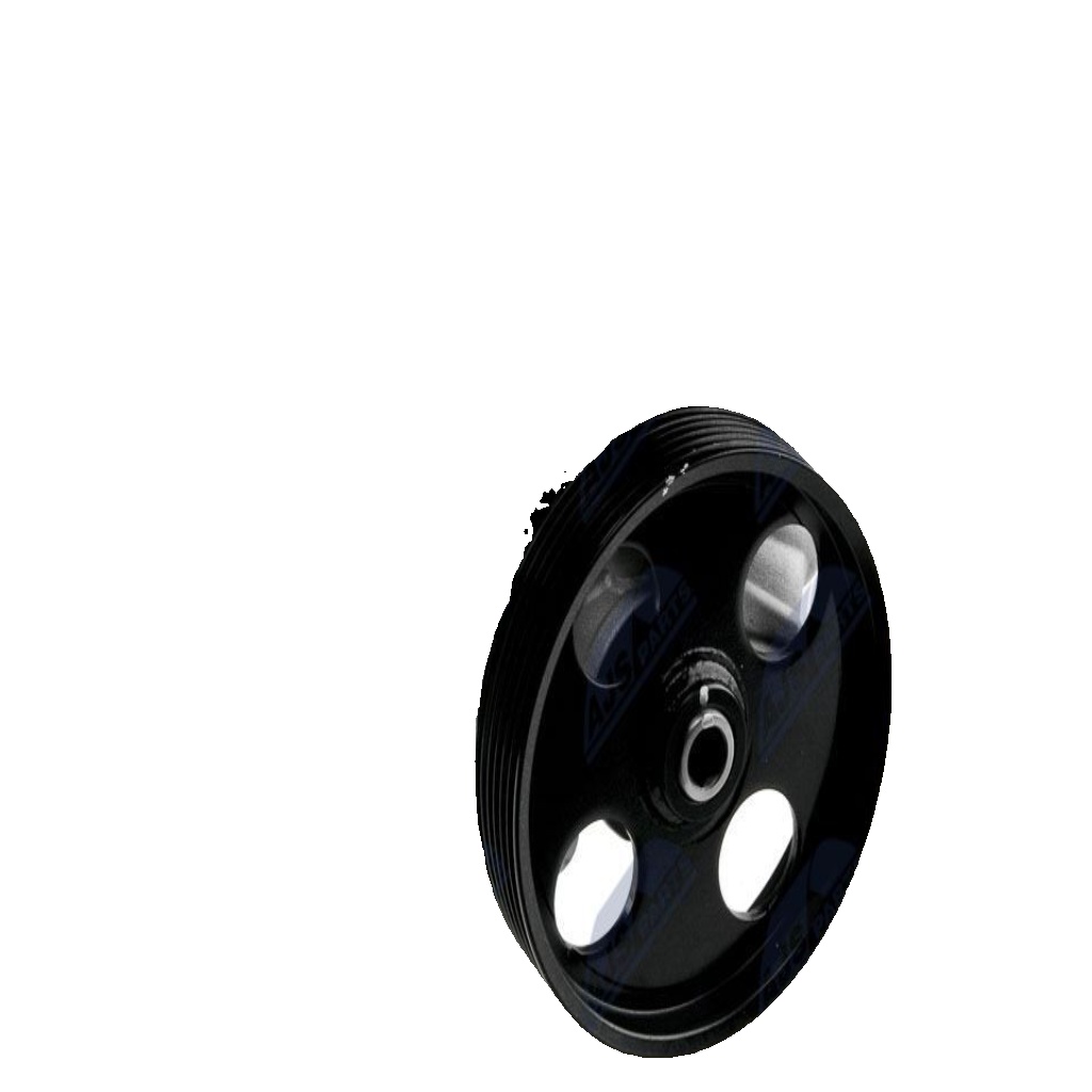 Power steering pump hydraulic with multi-belt pulley SPW-CT-015 NTY for CITROËN