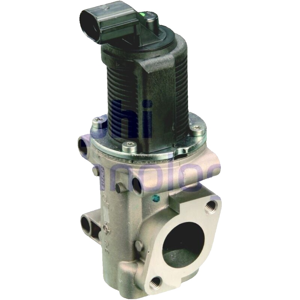 DELPHI EG10301-12B1 EGR Valve for FIAT,LANCIA