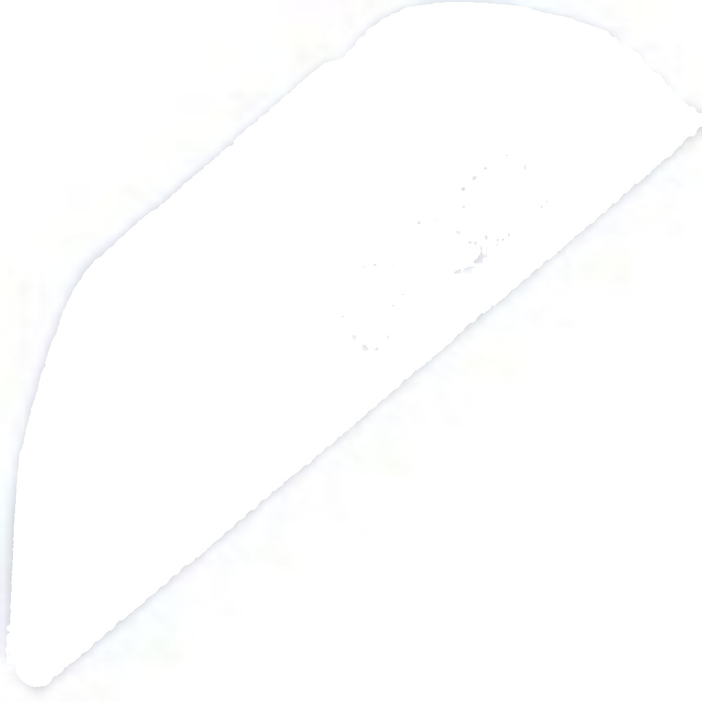 GPP-PE-010 NTY Hose, crankcase breather for CITROËN,PEUGEOT