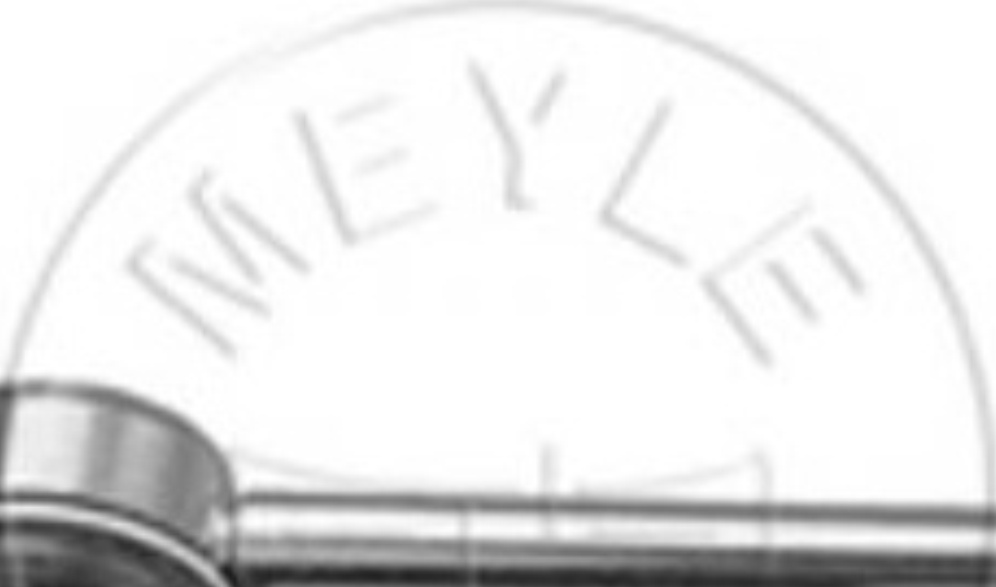 MEYLE 616 060 0005 LINK/COUPLING ROD STABILISER BAR Front LH,Front RH