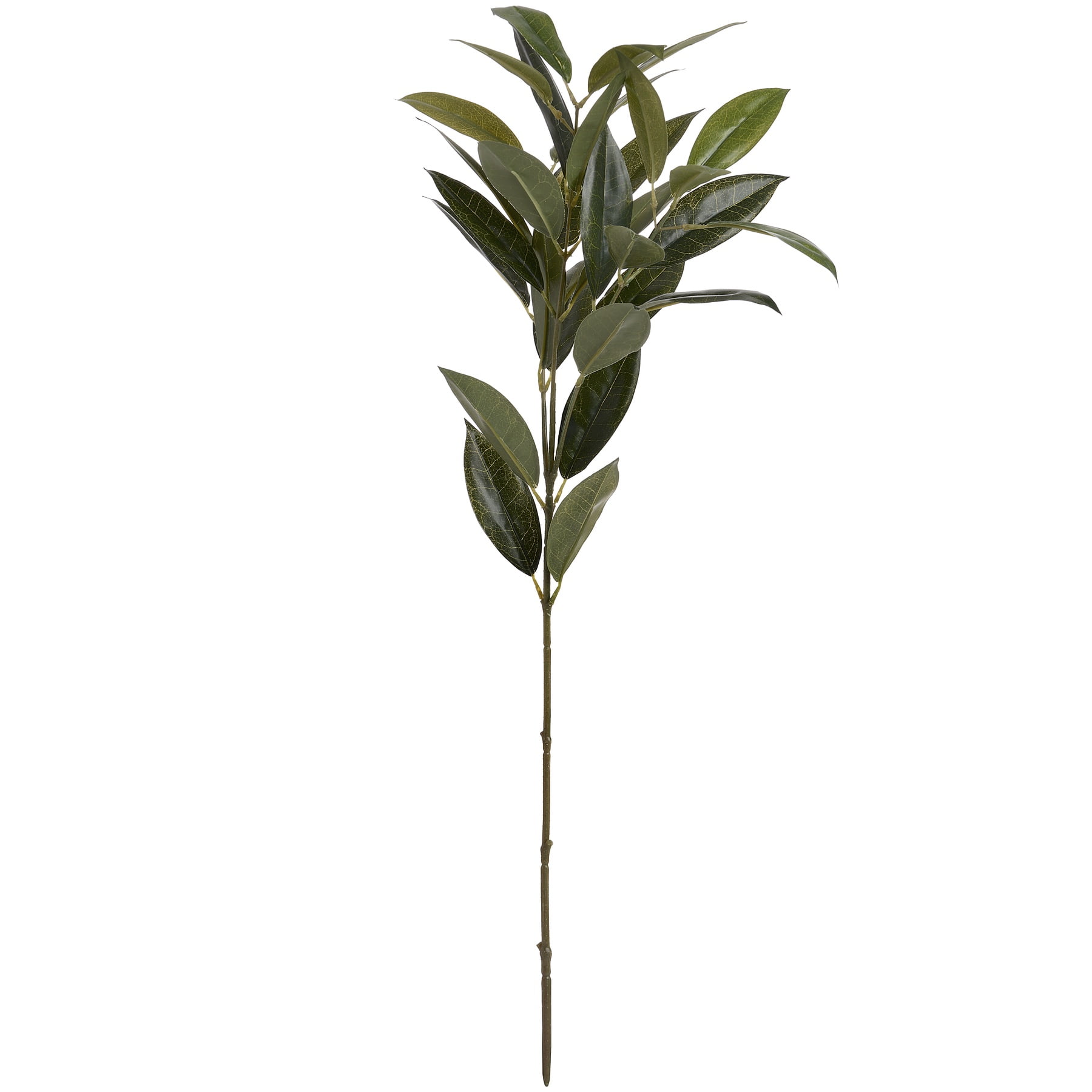 Hill Interiors Dark Green Faux Bay Leaf Spray In