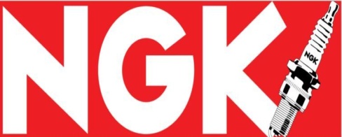 NGK 3566 Spark Plug for OPEL,SAAB,VAUXHALL
