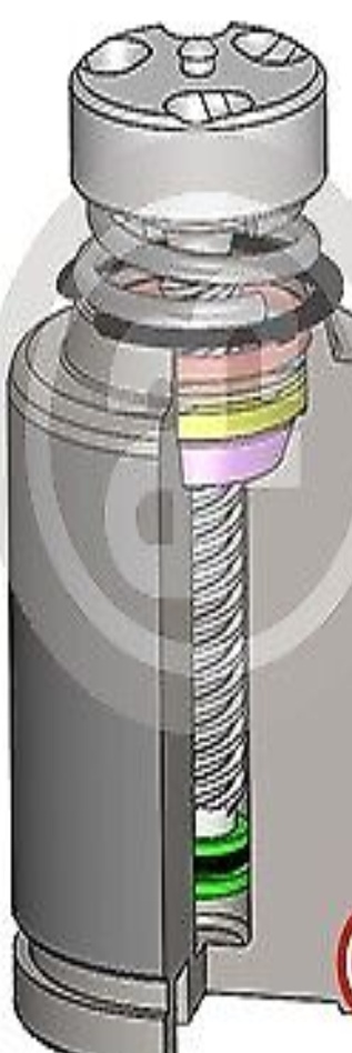Brake caliper piston Rear Axle D025583RK AUTOFREN SEINSA for NISSAN CABSTAR