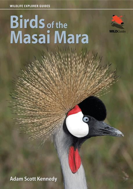 Birds of the Masai Mara Kennedy Paperback 9780691155944