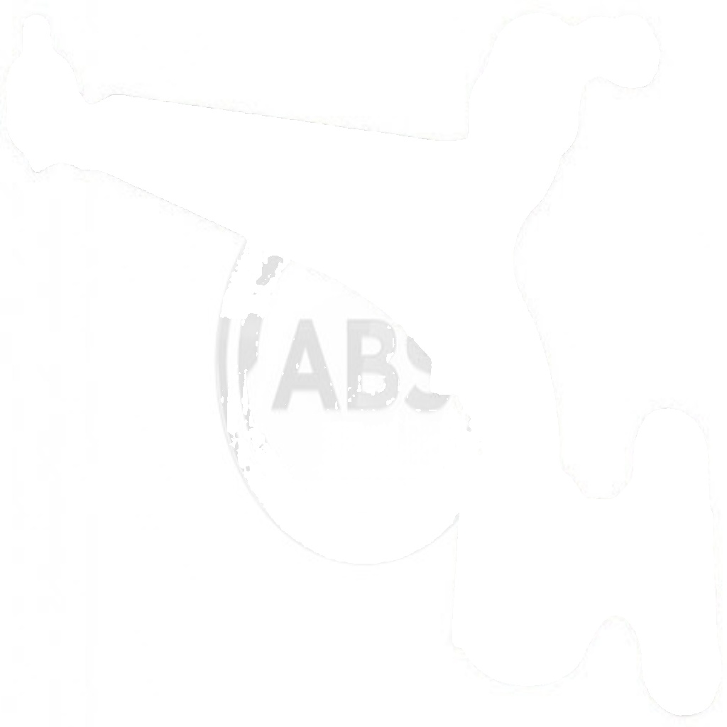 Original A.B.S. Steering Wheel Suspension 210827 For Citroën Fiat Lancia Peugeot
