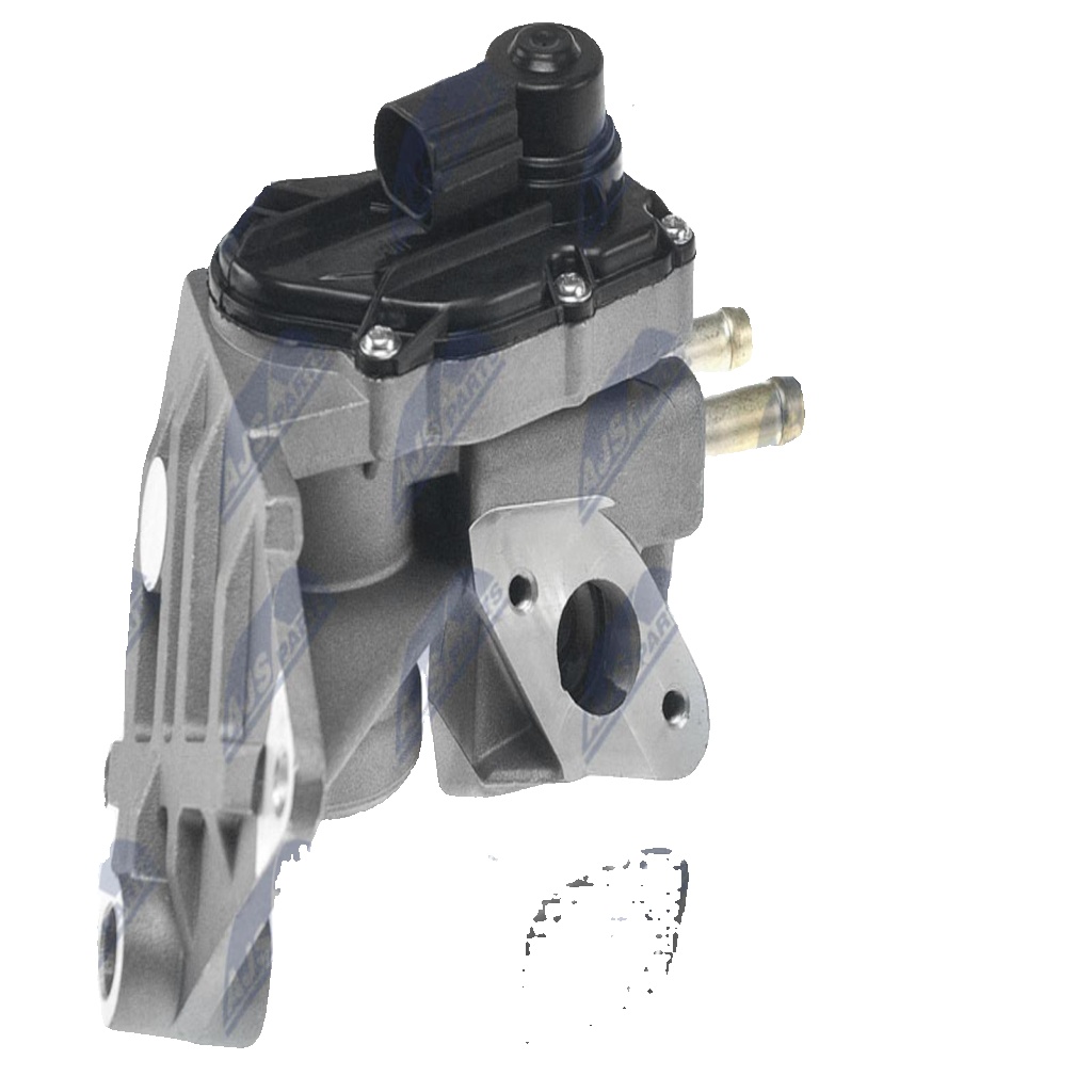 NTY EGR-AU-011 EGR Valve for AUDI,SEAT,SKODA,VW