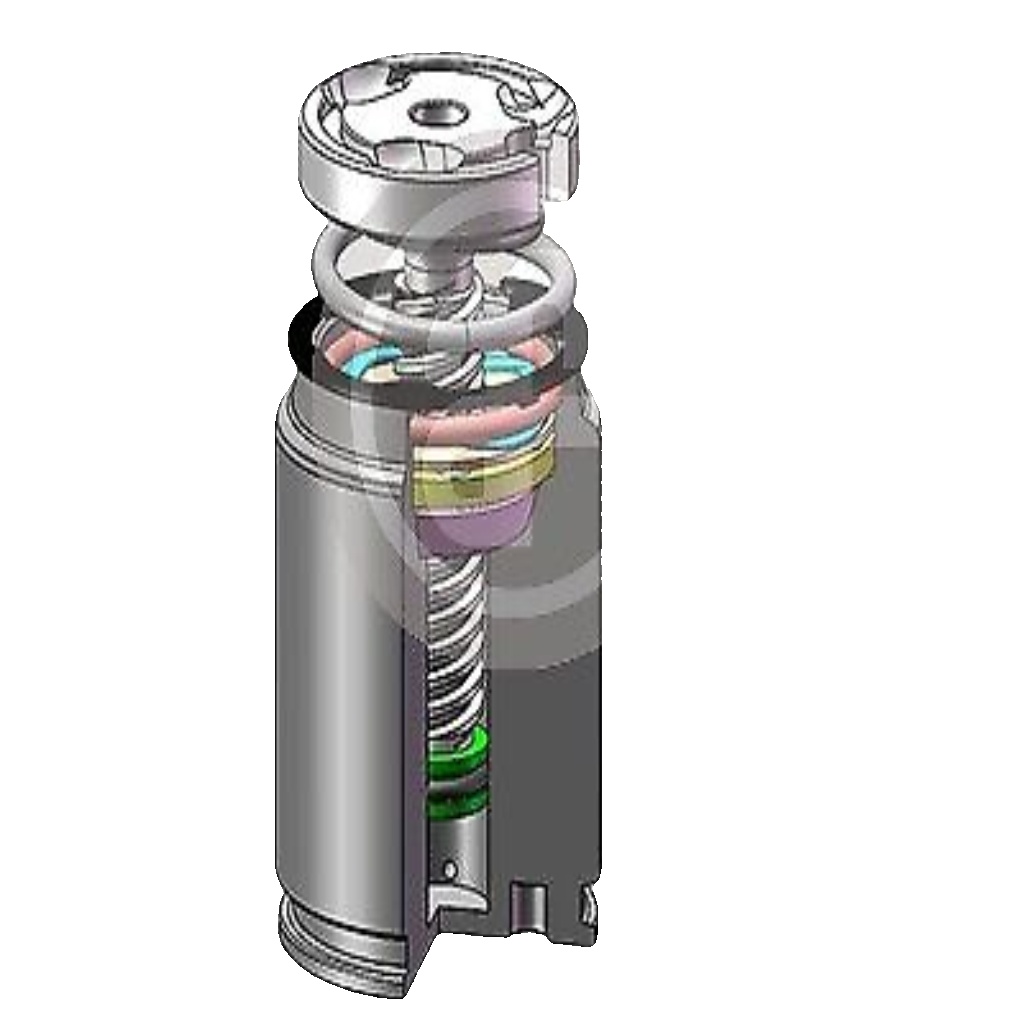 Rear AUTOFREN SEINSA D02545RK Piston, brake caliper for ,RENAULT