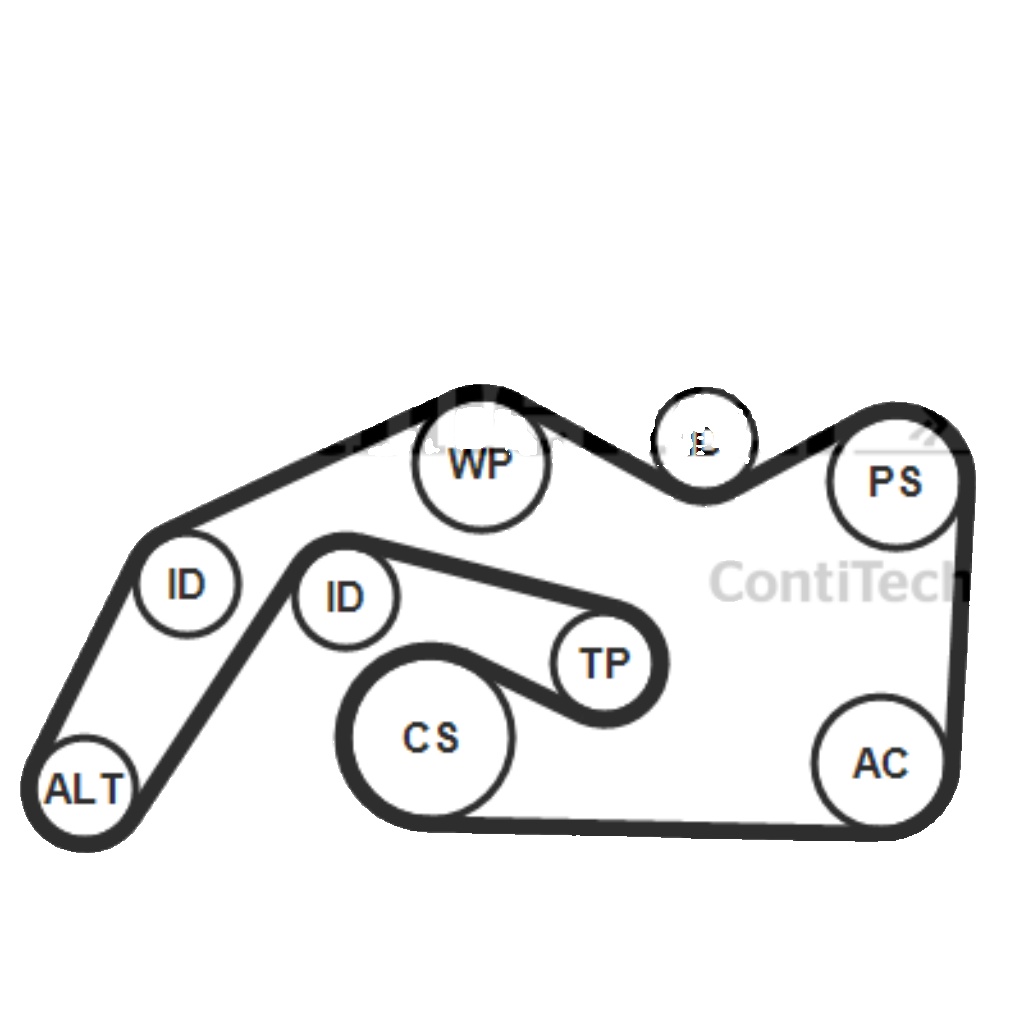 6PK2490K1 CONTINENTAL CTAM V-Ribbed Belt Set for AUDI