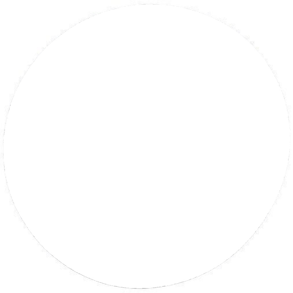 11365 A.B.S. Splash Panel, brake disc for VW