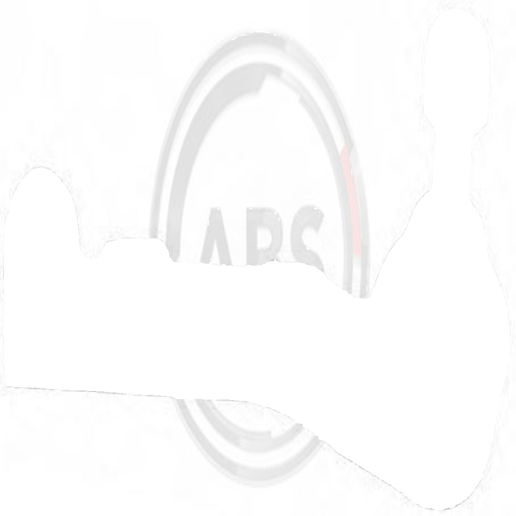 230382 A.B.S. Tie Rod End for RENAULT