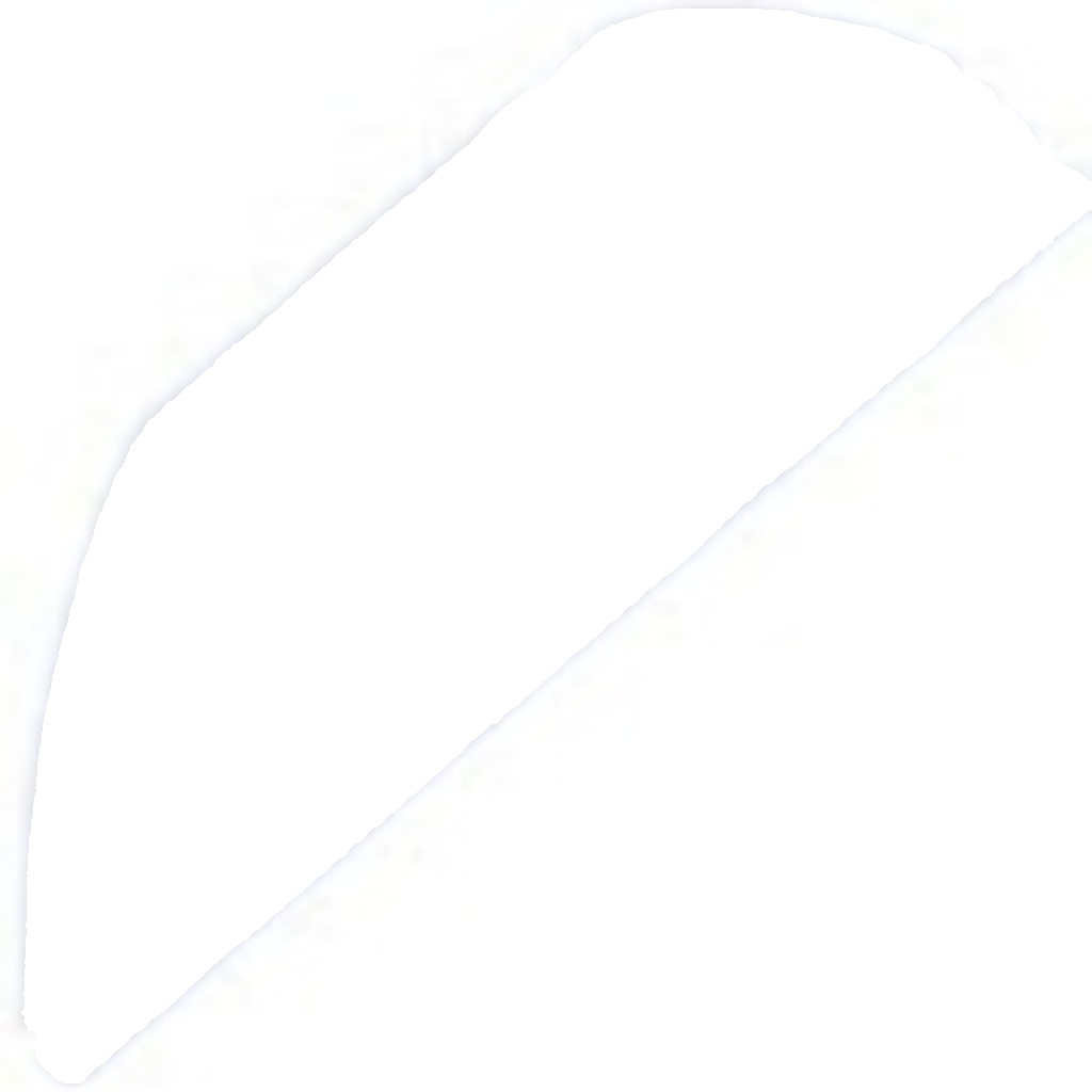 Upper NTY ZTT-NS-032A Mounting, differential for NISSAN,RENAULT