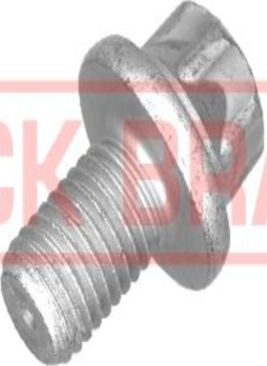 Front QUICK BRAKE 11613K Bolt, brake caliper for SMART - Image 4