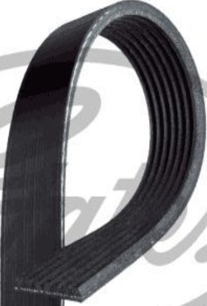 Gates 7Pk1178 V-Ribbed Belt Size 7