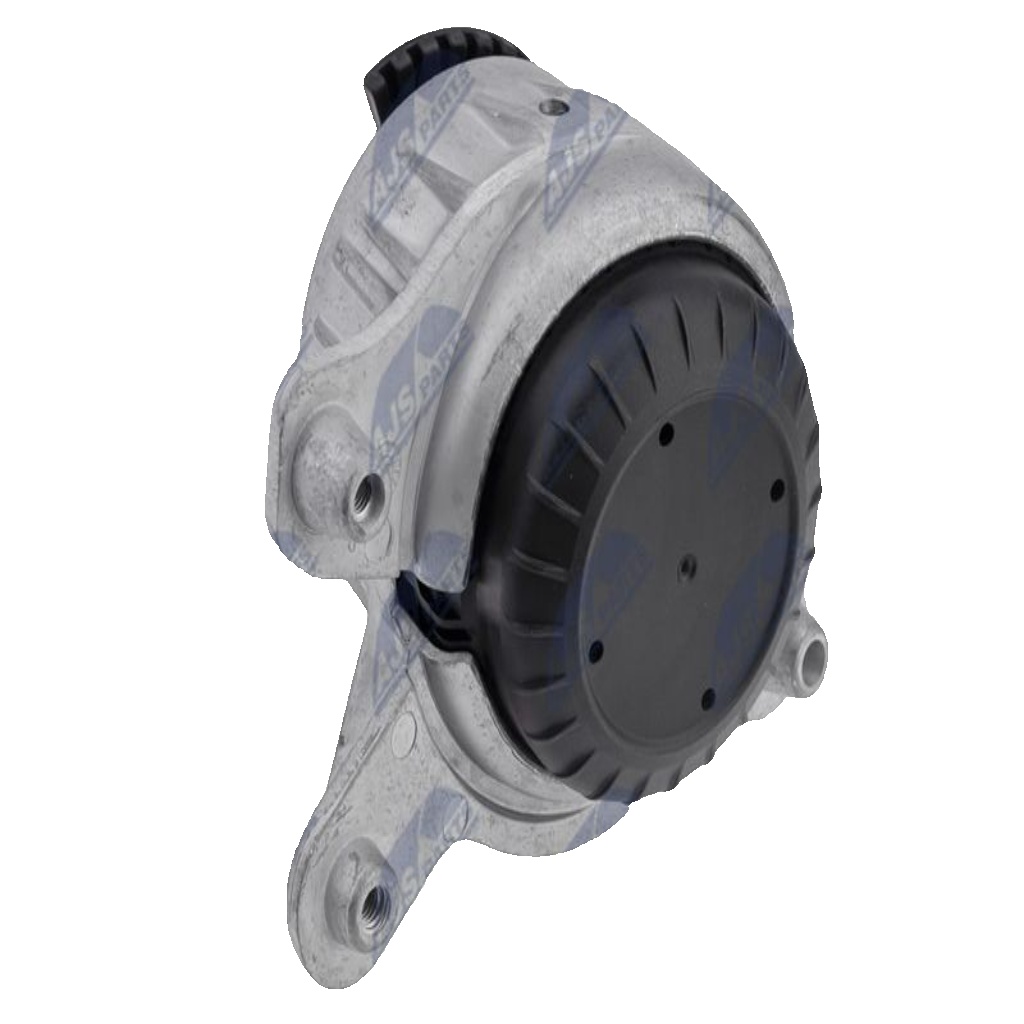 ZPS-ME-049 NTY Engine Mounting for MERCEDES-BENZ