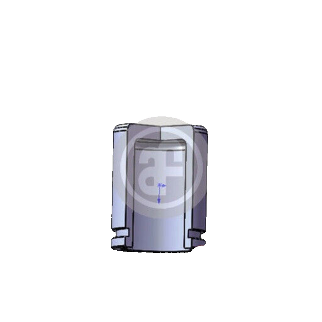 Front AUTOFREN SEINSA D025690 Piston, brake caliper for CHEVROLET,MITSUBISHI,OPE