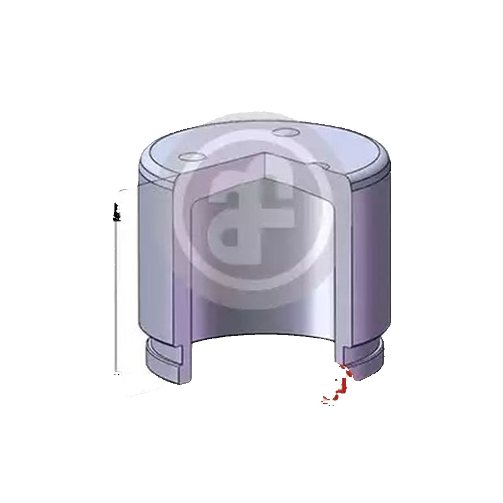 Front AUTOFREN SEINSA D025500 Piston, brake caliper for TOYOTA