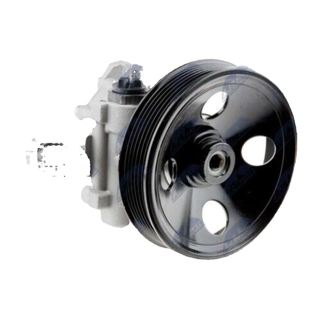 Power steering pump hydraulic with multi-belt pulley SPW-ME-038 NTY