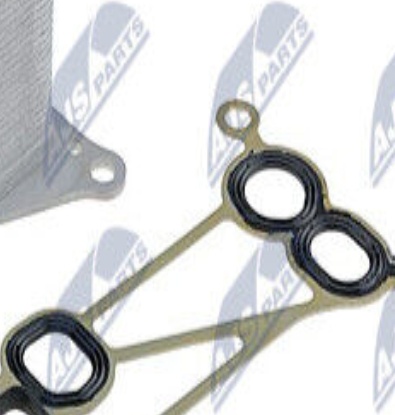 N.T.Y. CCL-BM-010.NTY Oil Cooler, engine oil for BMW