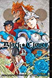 Black Clover, Vol. 12 Volume 12